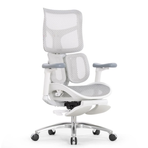 Ортопедическое кресло Falto Scala Office серое Ортопедическое кресло Falto Scala Office серое